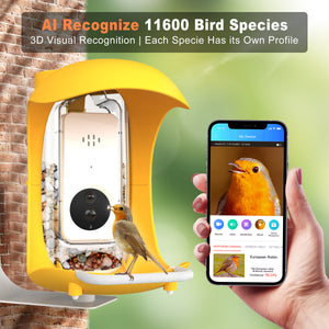Bird Detective Smart Bird Feeder-YELLOW