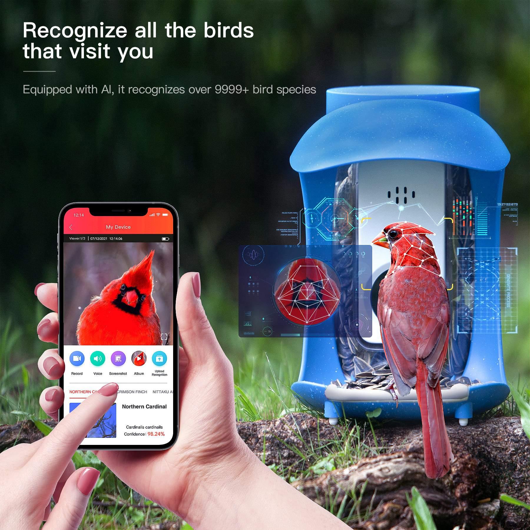 3* Bird Detective Smart Bird Feeder - PalProt
