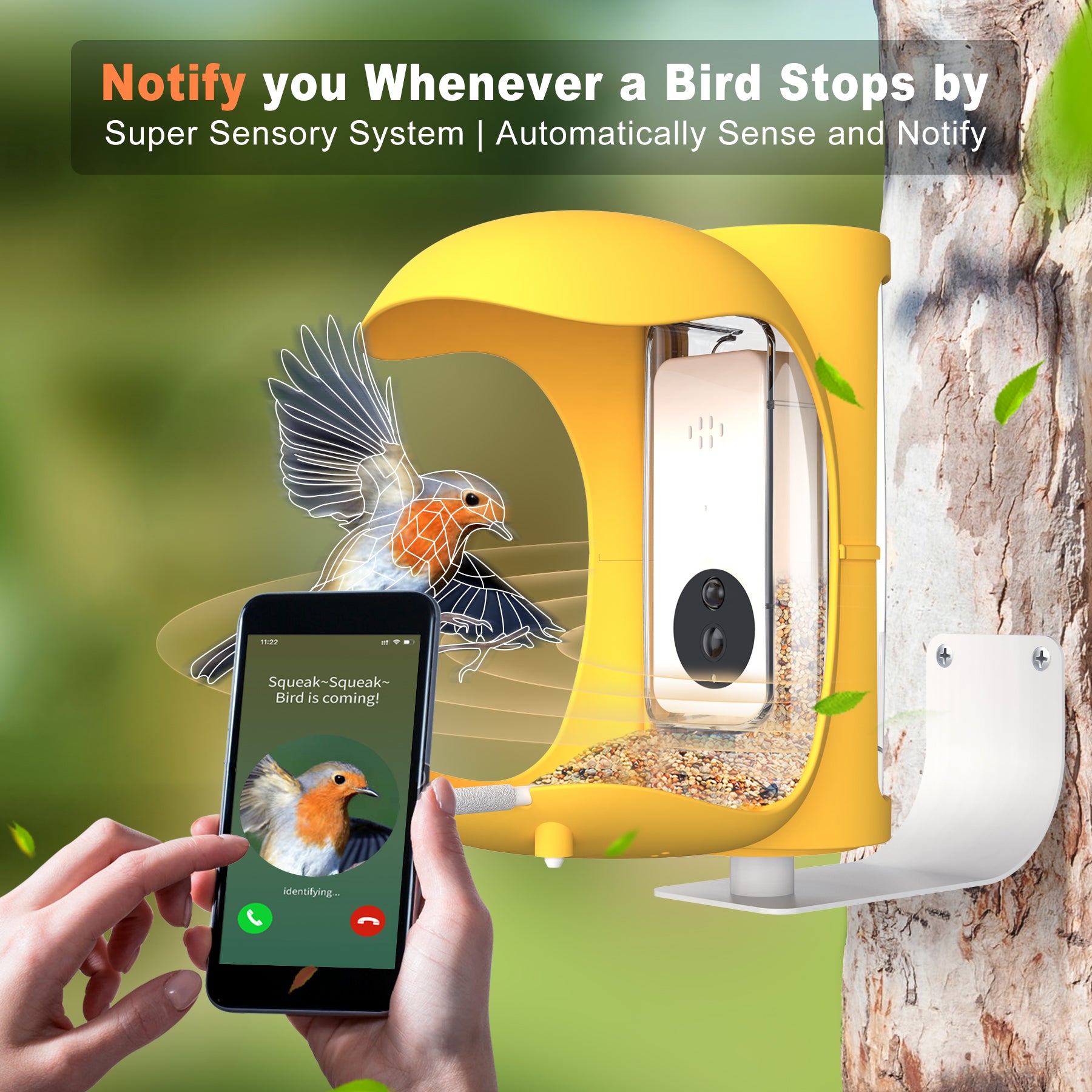 Bird Detective Smart Bird Feeder-YELLOW